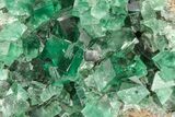 Fluorescent Green Fluorite Cluster - Diana Maria Mine, England #208878-3